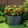 Black raised garden bed with thriving tomato plants in sunny backyard