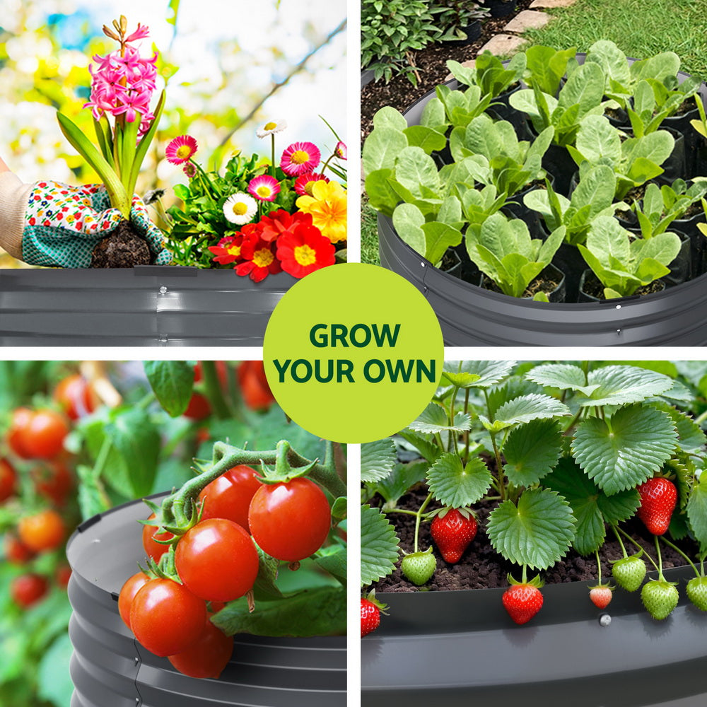 Grow your own flowers, lettuce, tomatoes, and strawberries in raised garden beds