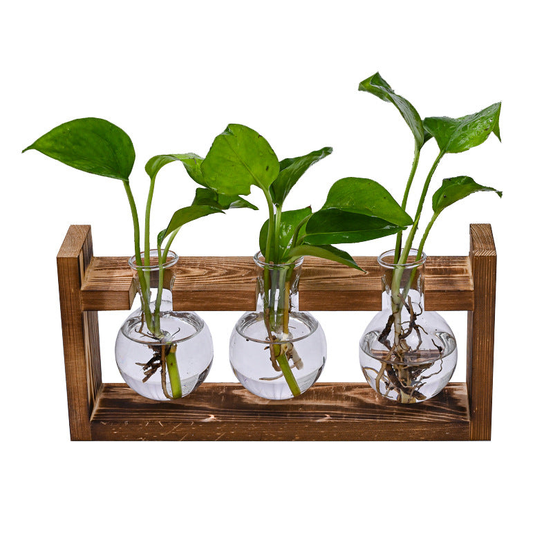 Wooden stand with three glass vases holding green leafy plants in water, ideal for indoor or outdoor decor.