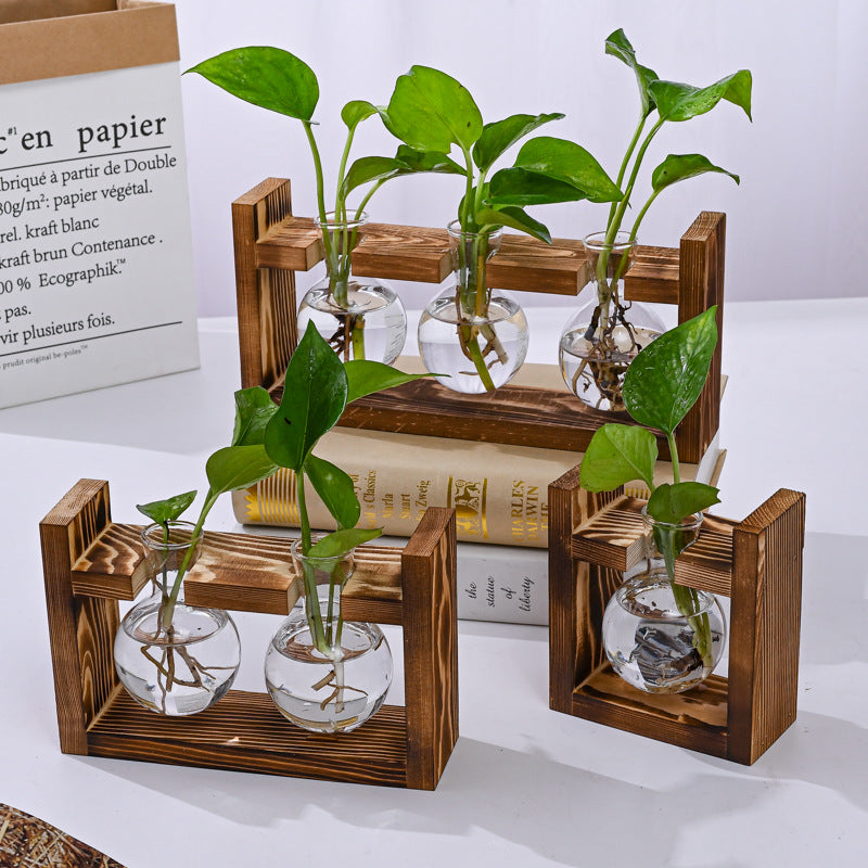 Wooden hydroponic planters with glass vases holding green leafy plants, ideal for indoor garden decor